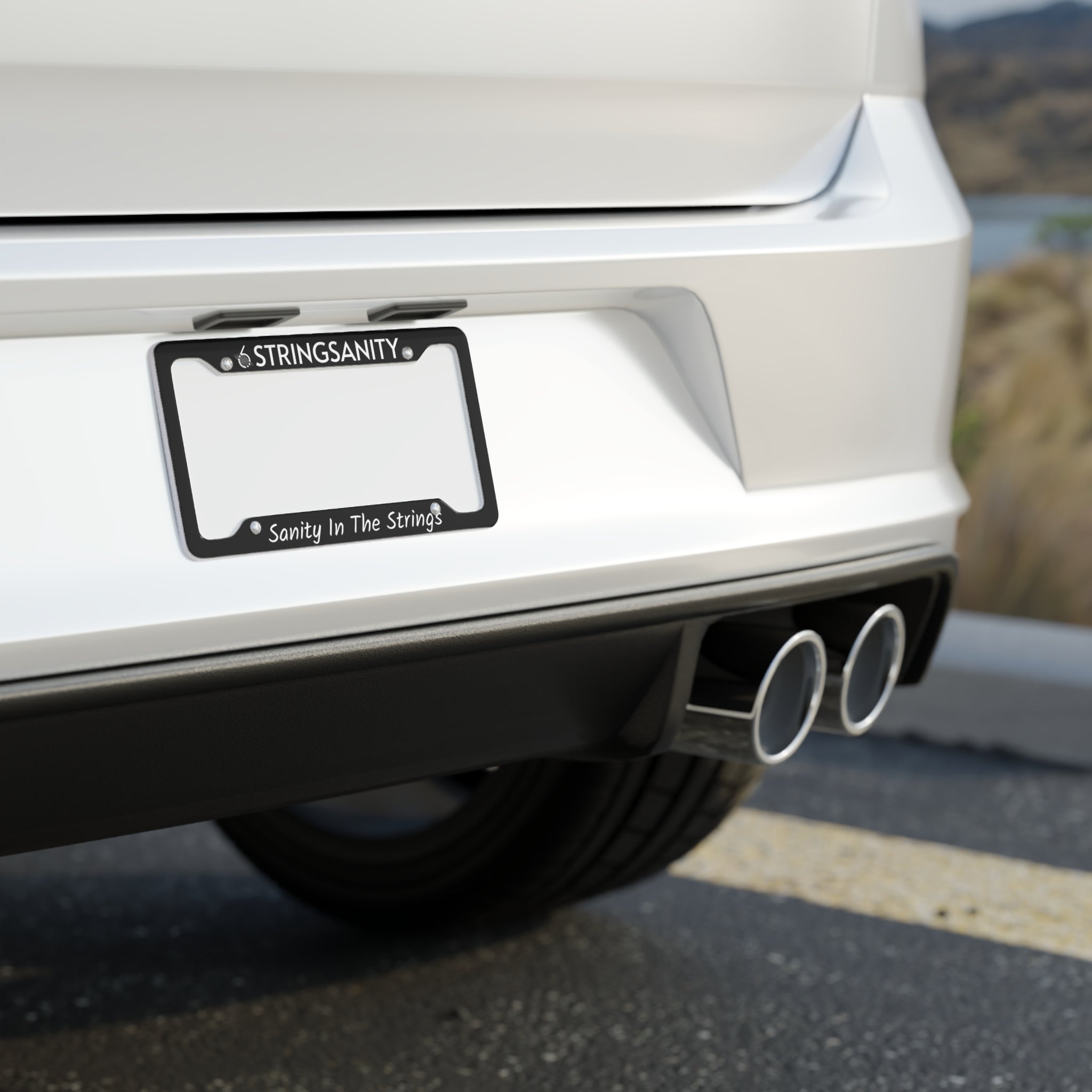 6StringSanity - Sanity in the Strings License Plate Frame